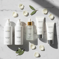 Daily Glow Routine — Full Size